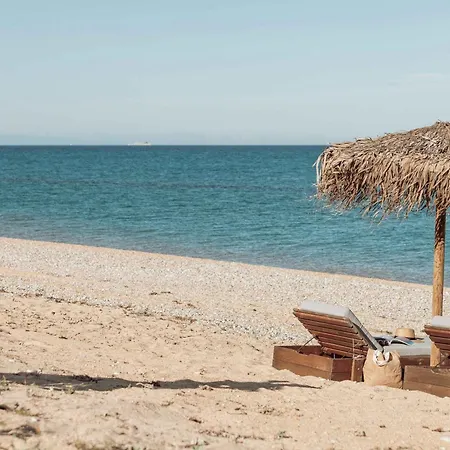 Lantställe Lisavet Skala Kefalonia - Emerald Beachfront